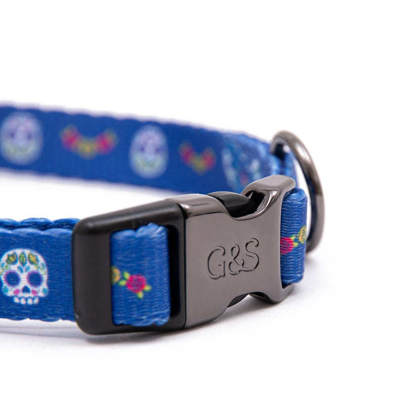 G&s dog collar best sale