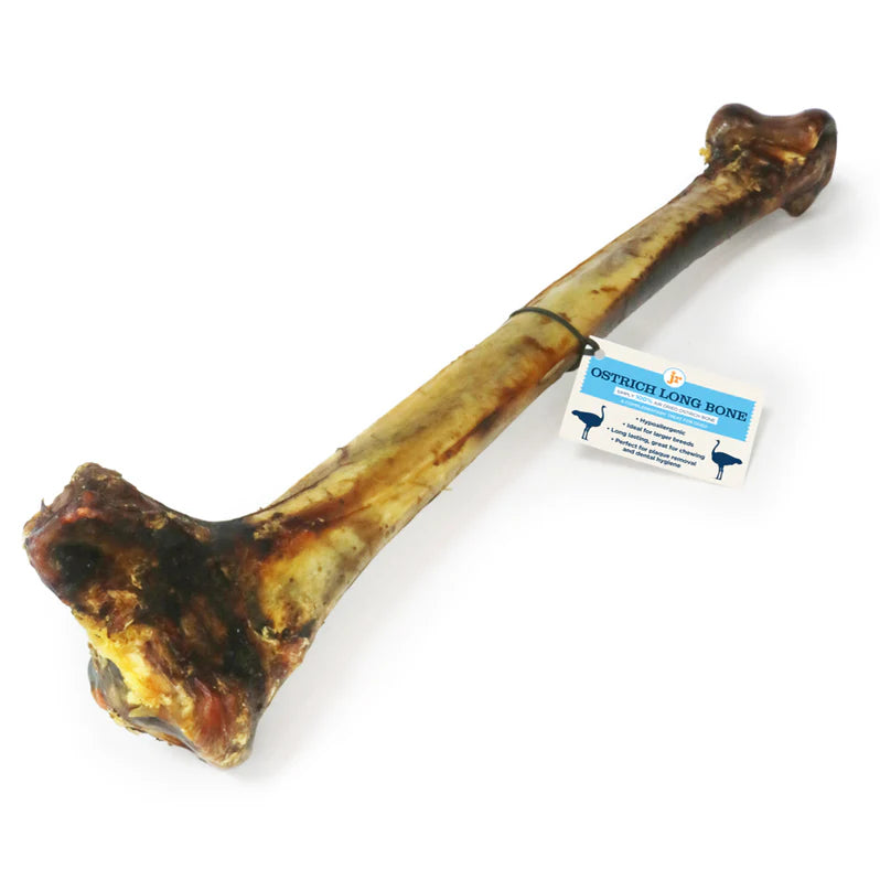 JR Pet Products - Ostrich Long Bone