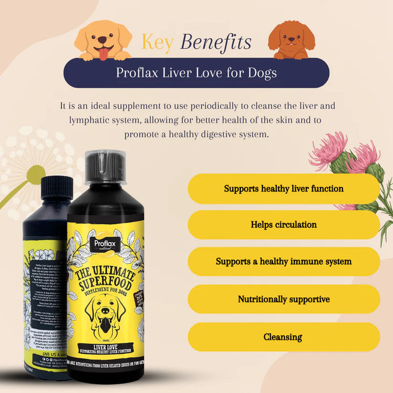 Proflax Liver Love for Dogs 250ml