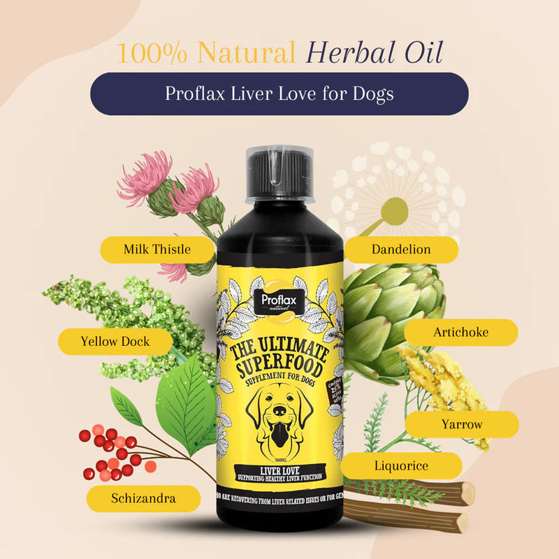 Proflax Liver Love for Dogs 250ml