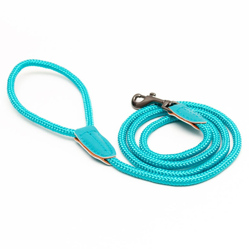 Great & Small Penrose Rope Dog Lead Blue