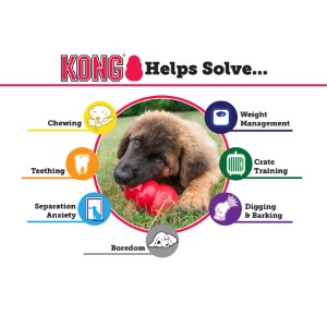 KONG Puppy Toy